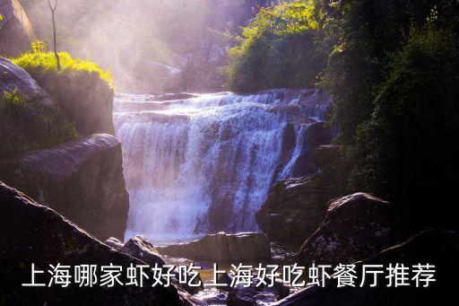 上海哪家虾好吃上海好吃虾餐厅推荐