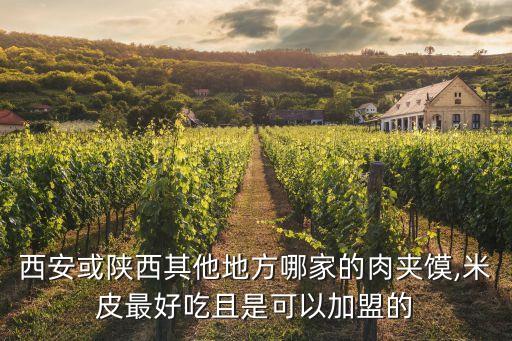 西安或陕西其他地方哪家的肉夹馍,米皮最好吃且是可以加盟的