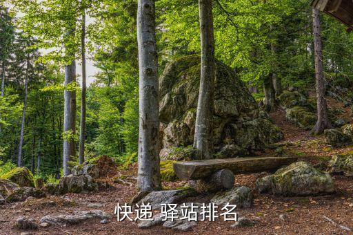 快递 驿站排名