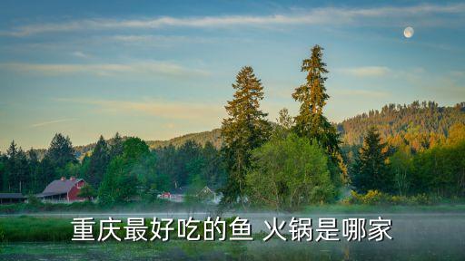 重庆最好吃的鱼 火锅是哪家