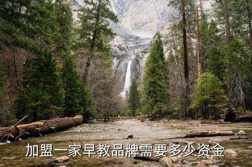 加盟一家早教品牌需要多少资金