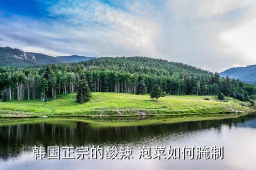酸辣辣泡菜加盟费多少,泡菜姑娘加盟费多少