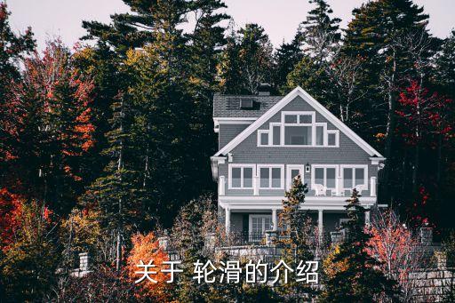 关于 轮滑的介绍