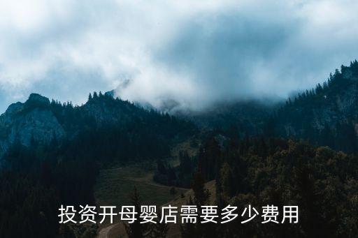 宝宝车加盟费多少,车靓靓加盟费多少