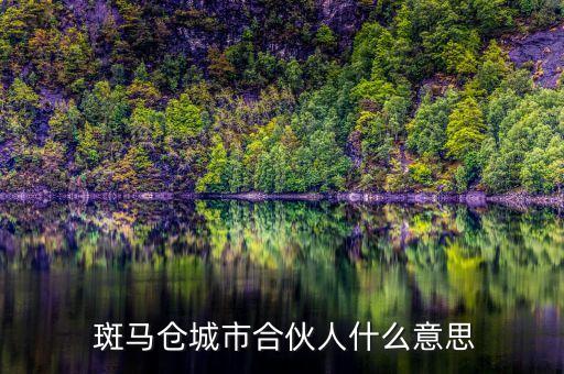  斑马仓城市合伙人什么意思