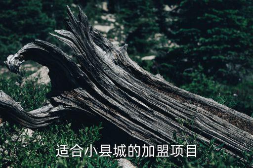 香味植物盆景店加盟费