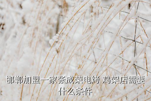 邯郸加盟一家张成荣电烤 鸡架店需要什么条件