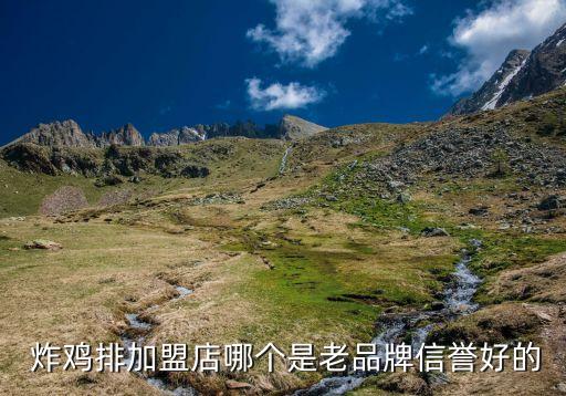  炸鸡排加盟店哪个是老品牌信誉好的