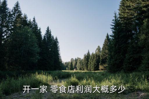 开一家 零食店利润大概多少