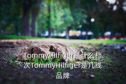 tommy男装加盟费,男装品牌tommy hilfiger