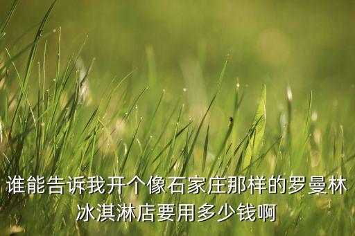 雪糕加盟费多少钱,金淇淋雪糕加盟费多少