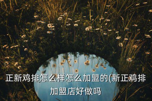 潍坊烤炉加盟费,潍坊有没有石头先生的烤炉