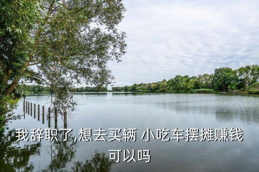 我辞职了,想去买辆 小吃车摆摊赚钱可以吗