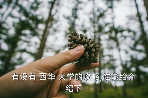 有没有 西华 大学的攻略,谁能给介绍下