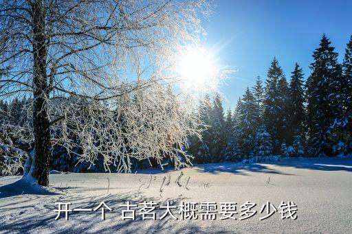 开一个 古茗大概需要多少钱