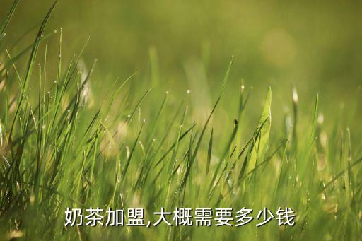 奶茶加盟,大概需要多少钱