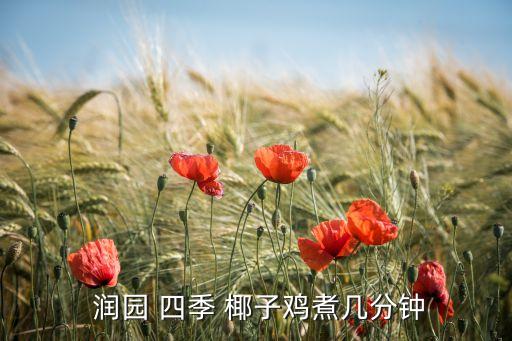  润园 四季 椰子鸡煮几分钟