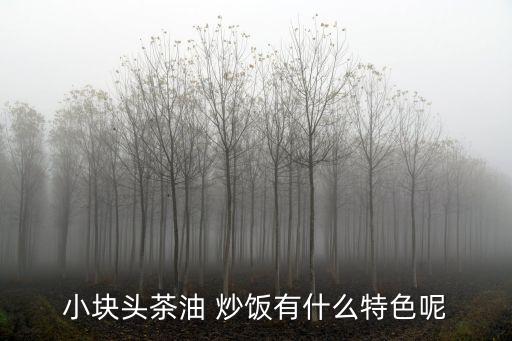 小块头茶油 炒饭有什么特色呢