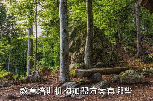 教育培训机构加盟方案有哪些