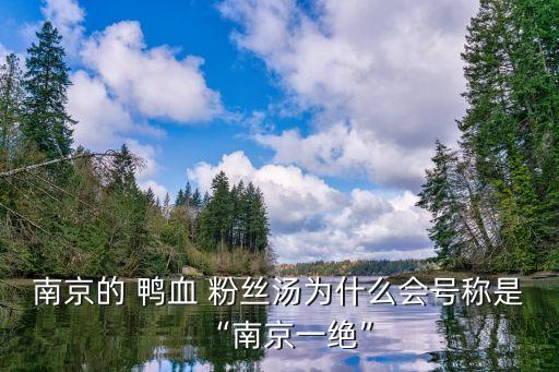 南京的 鸭血 粉丝汤为什么会号称是“南京一绝”