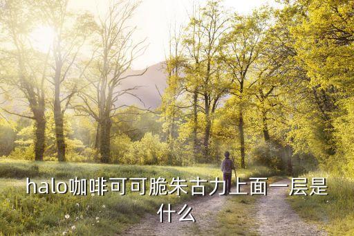 halo咖啡可可脆朱古力上面一层是什么