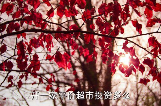 开一家平价超市投资多么