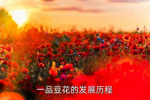 一品豆花的发展历程