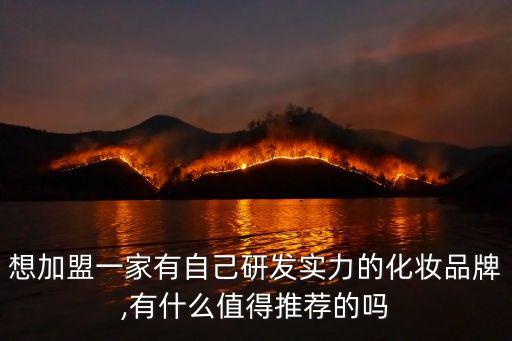 想加盟一家有自己研发实力的化妆品牌,有什么值得推荐的吗