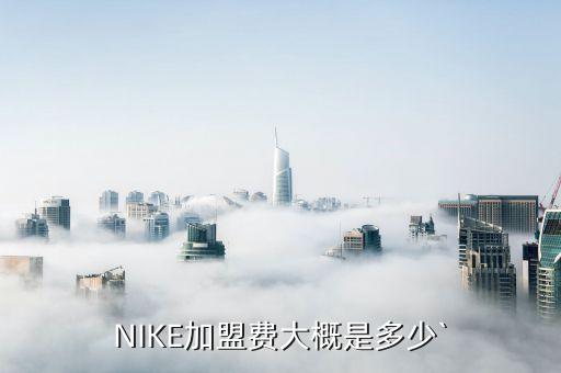 NIKE加盟费大概是多少`
