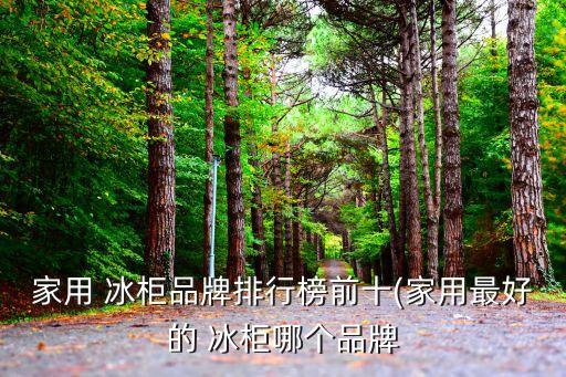 家用 冰柜品牌排行榜前十(家用最好的 冰柜哪个品牌