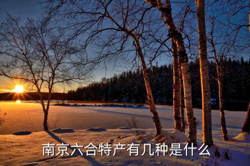 南京小煮面加盟费,南京城南小煮面哪家好吃