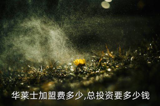  华莱士加盟费多少,总投资要多少钱