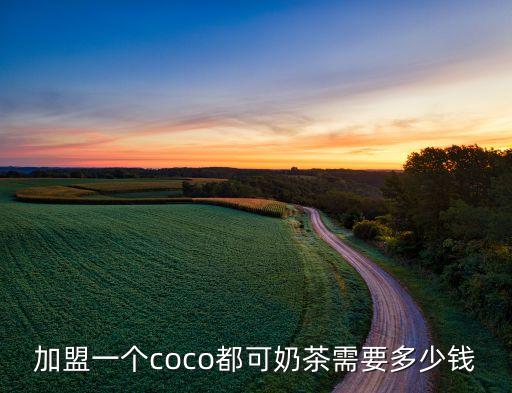 加盟一个coco都可奶茶需要多少钱