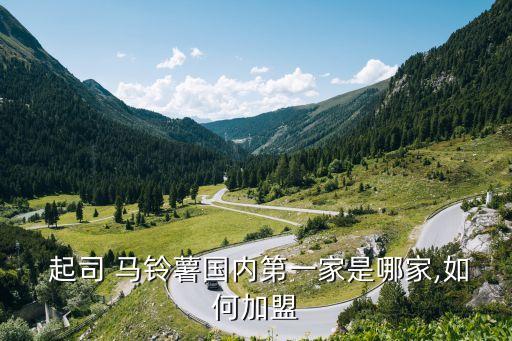  起司 马铃薯国内第一家是哪家,如何加盟