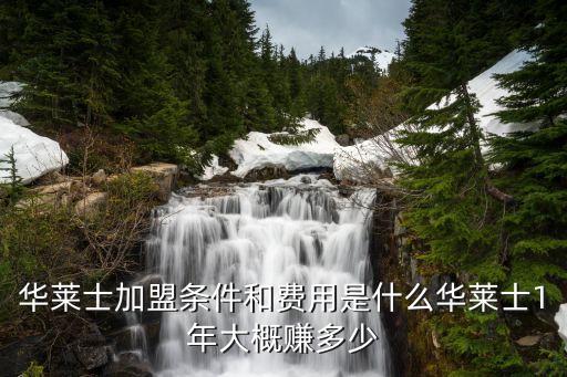华莱士加盟条件和费用是什么华莱士1年大概赚多少