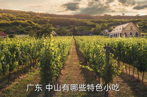 广东 中山有哪些特色小吃