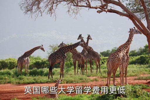 英国哪些大学留学费用更低