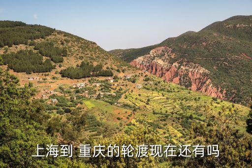 上海到 重庆的轮渡现在还有吗