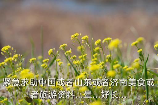 紧急求助中国或者山东或者济南美食或者旅游资料...晕...好长...