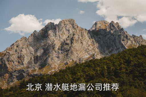 北京 潜水艇地漏公司推荐
