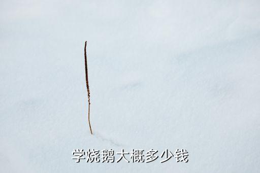 学烧鹅大概多少钱