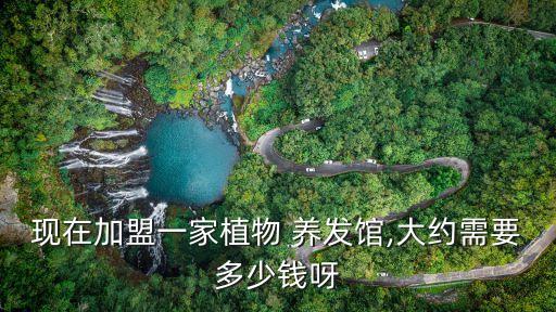 现在加盟一家植物 养发馆,大约需要多少钱呀