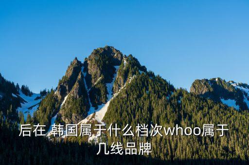 后在 韩国属于什么档次whoo属于几线品牌