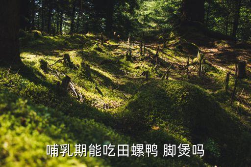 哺乳期能吃田螺鸭 脚煲吗