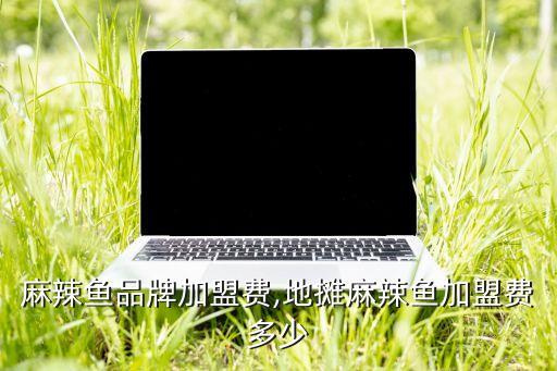 吉林麻辣鱼品牌加盟费,地摊麻辣鱼加盟费多少
