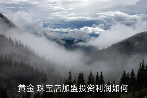 黄金 珠宝店加盟投资利润如何