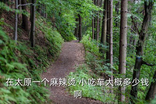 在太原一个麻辣烫 小吃车大概多少钱啊