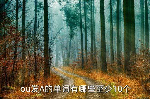 ou加盟费
