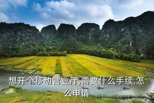 想开个移动营业厅,需要什么手续,怎么申请
