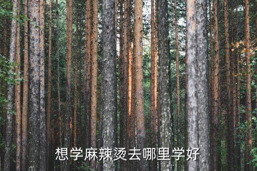 生烫牛肉面培训加盟费用,武汉生烫牛肉面加盟哪家好